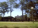 UQ, waiting for Sarah