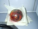 Eww, spiderball has a leak