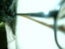 TTPhoenix's eye