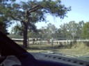 The horse look on and laugh