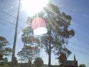 Welcome to Toowoomba