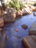 The fun you can have with a creek and a ball