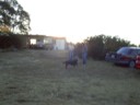 The ranch