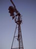 Tall