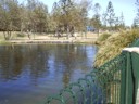 Ducks. Just like at GPS!