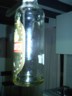 No more butterscotch schnapps to make Cowboys. 700ml gone