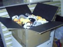 Soft toys you say?