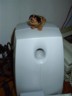 The sub-'woof'er
