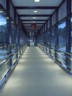 Busway walkway