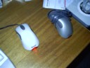 While Kaie is away, the mice will play. She lent me her white one for weekend to work out why my gray one keeps dying.