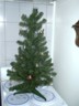 It has lights too. Total cost of tree and lights, $5.50.