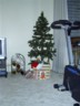 My sisters tree. Bigger than mine, but just as cheap.