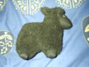 For Vicki, baaing sheep