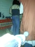 Asses sighted for termination
