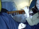 Tanya has a nice.... cat
