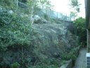 The back garden is cleared