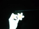 Purdy flower