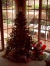 The tree