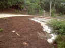 Thats a lot of bark and dirt