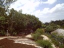 The new top garden