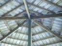 Spider city