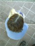Lui from above