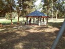Swingcam