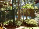 The pool