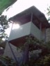 Red's treehouse