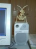 Mantis' new home